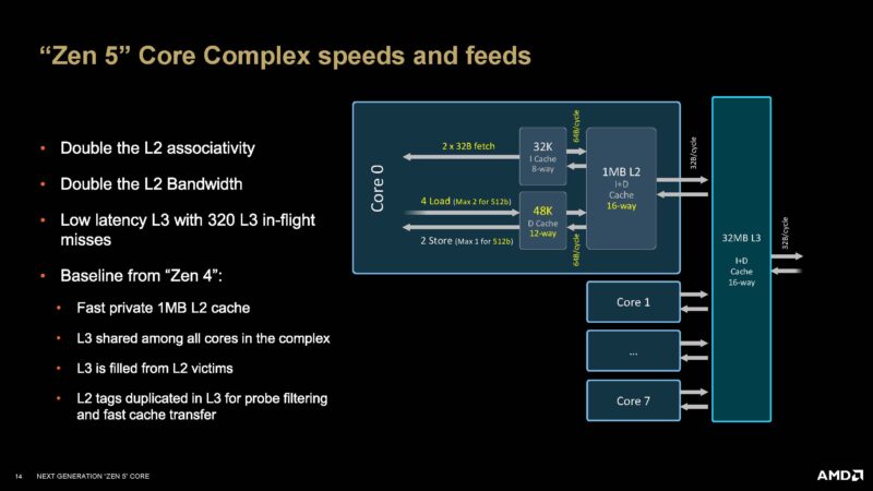 AMD Zen 5 Architecture Core Complex Speeds And Feeds