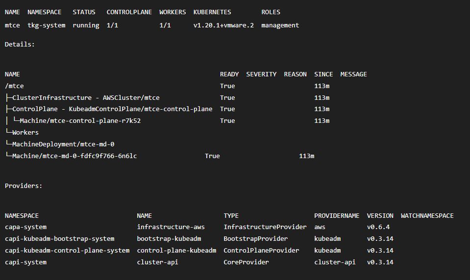 VMware Tanzu Community Edition Management Cluster