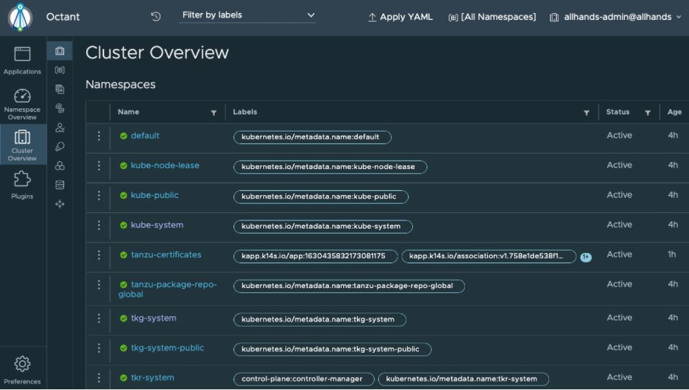 VMware Tanzu Community Edition Octant Dashboard